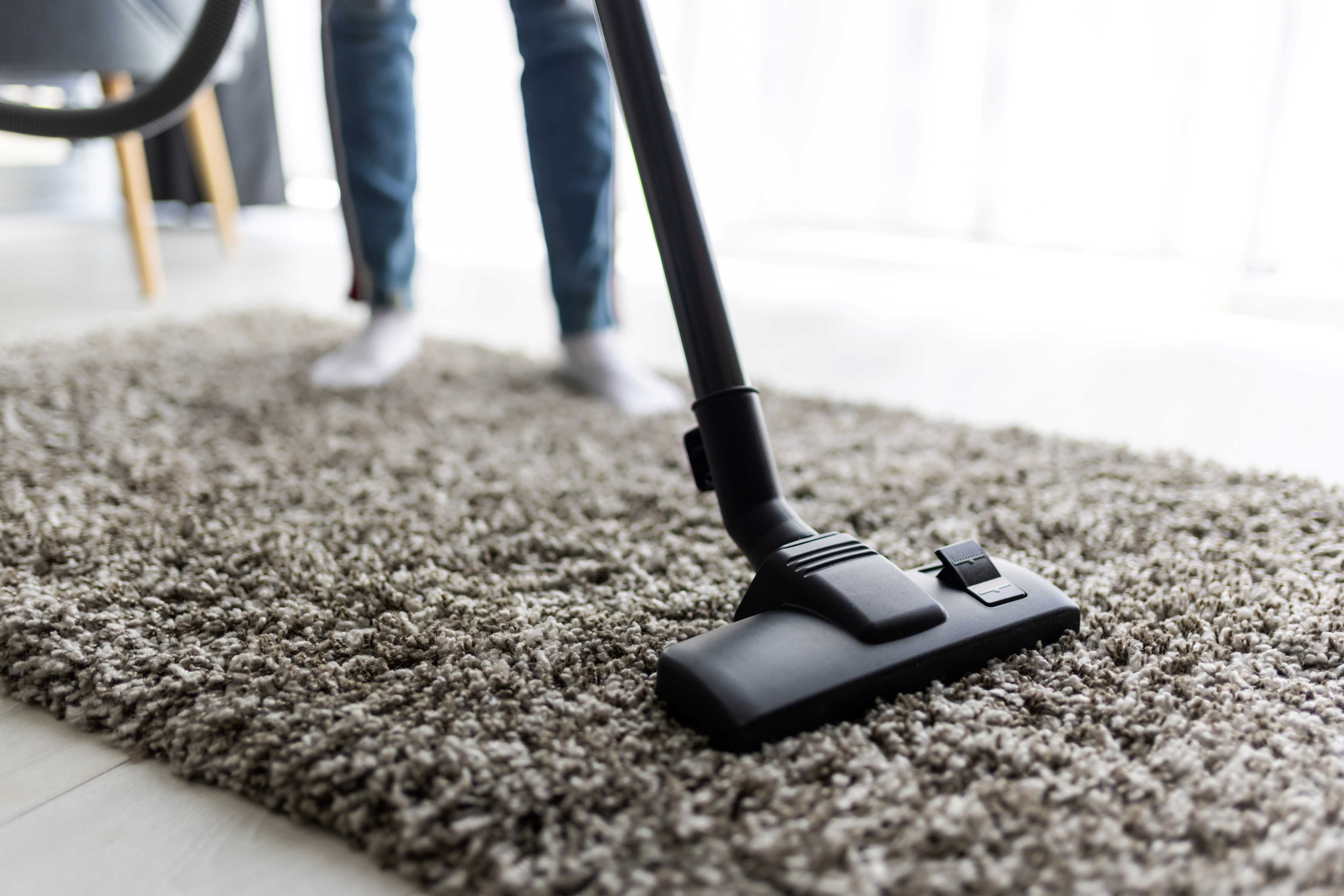 Professional Carpet Cleaning