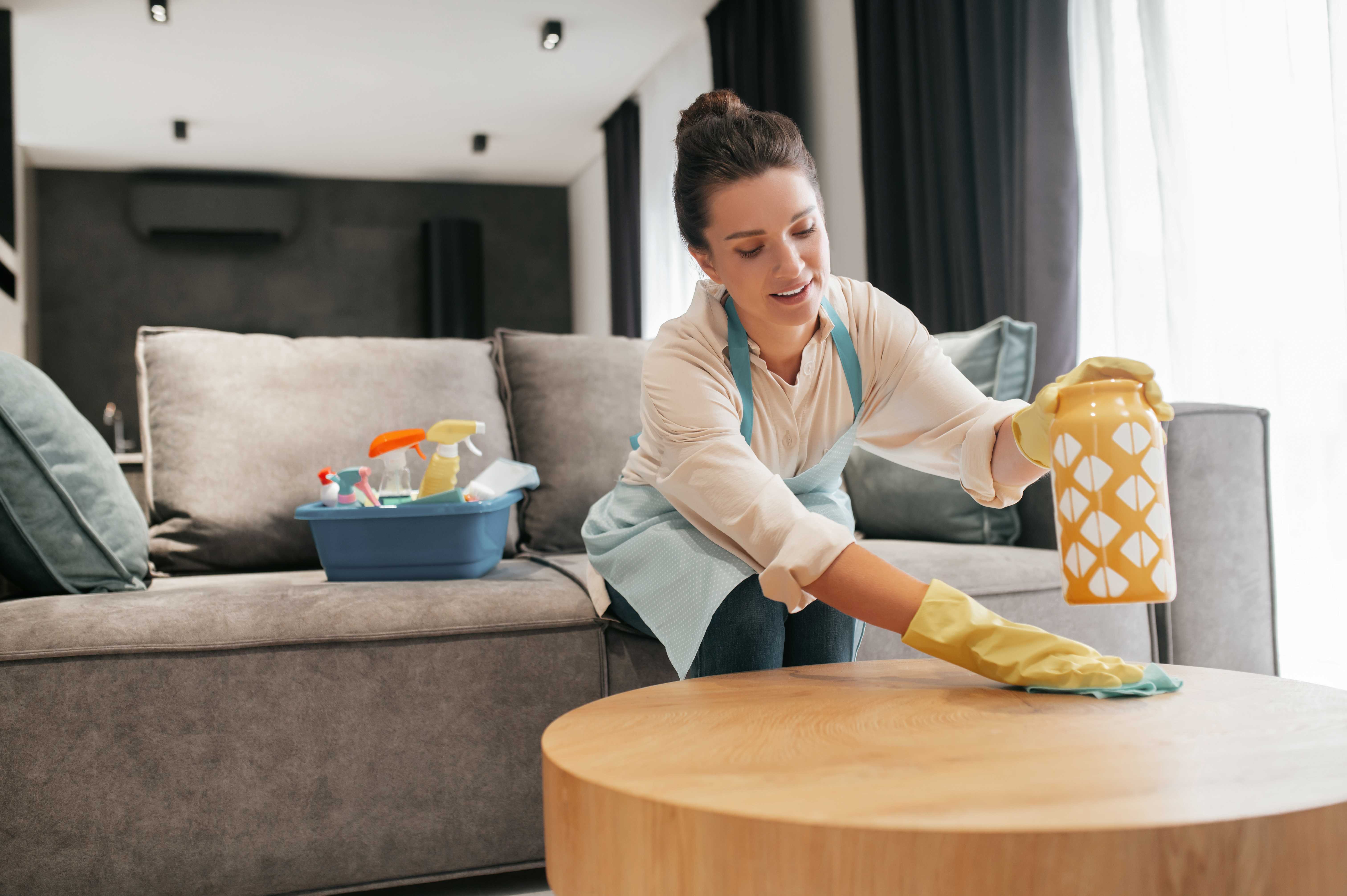Professional Domestic Cleaning Services