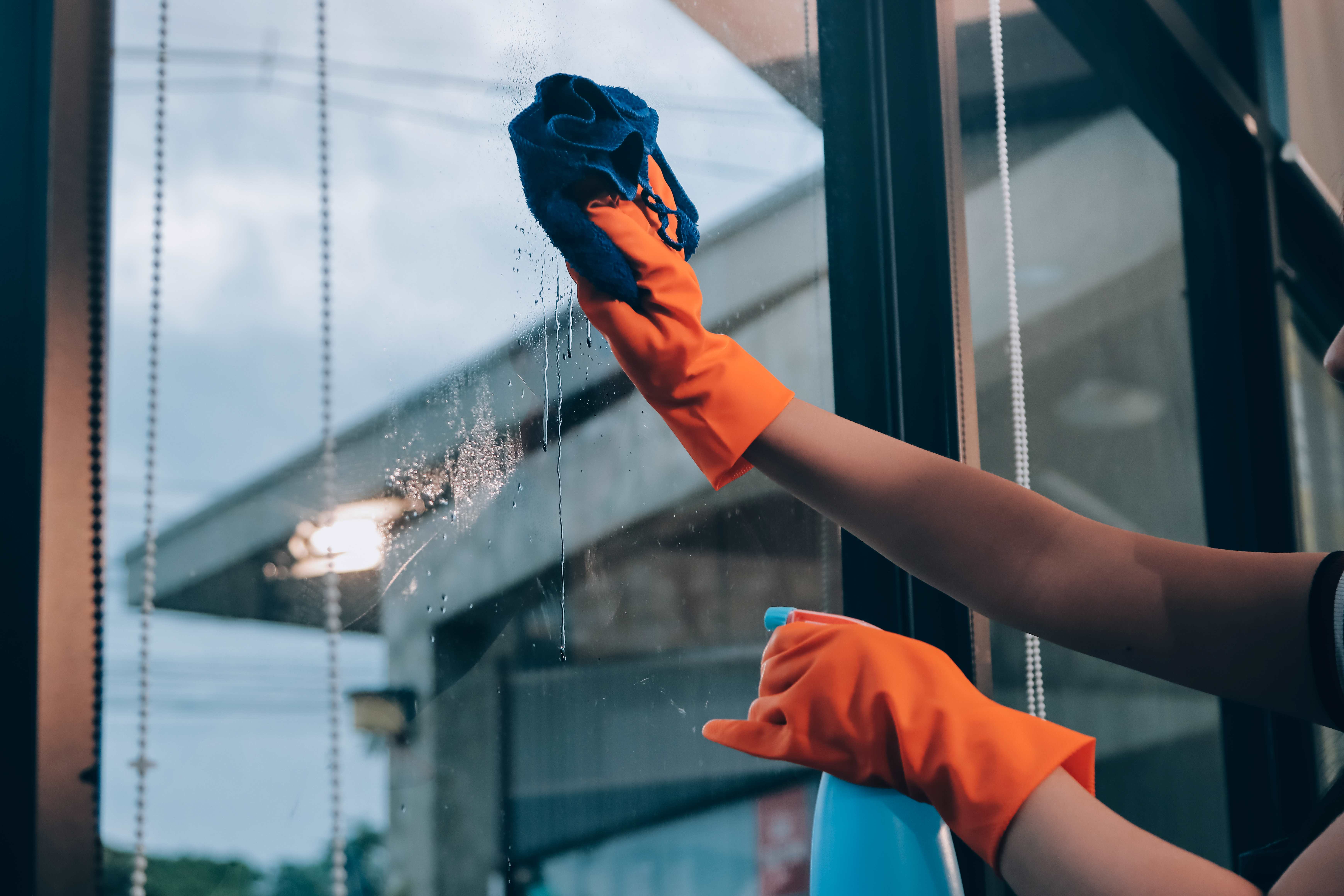 Professional Window Cleaning